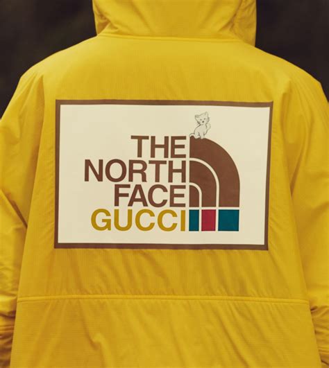 Gucci north face icon